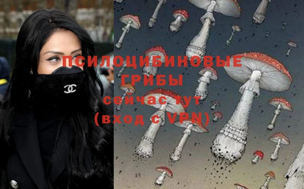 ALPHA PVP Верея