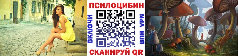 Купить  Воткинск  Псилоцибиновые грибы Psilocybine cubensis 